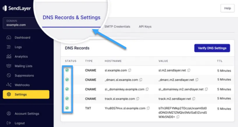wordpress email sau đổi dns bị lỗi - Hình 3