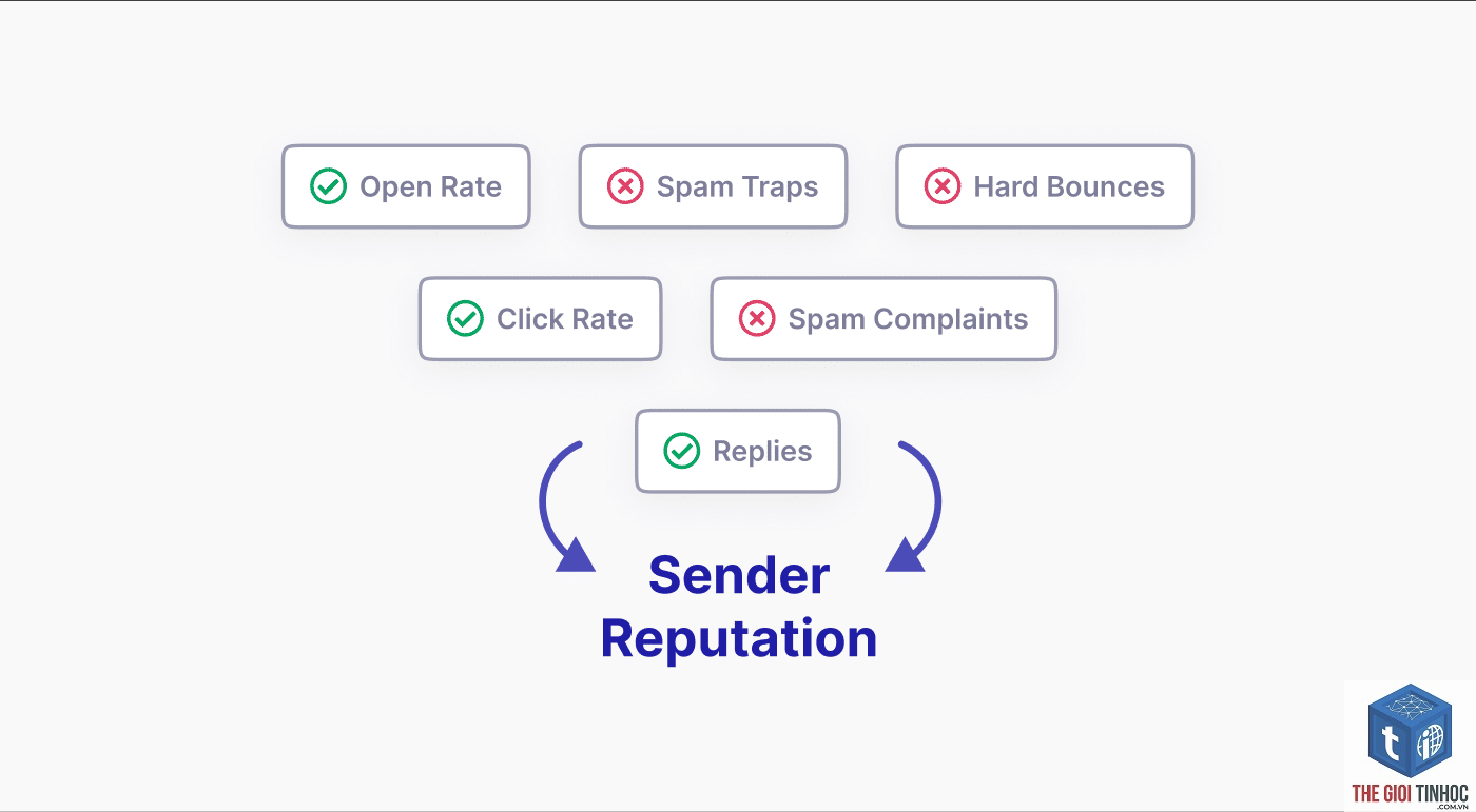 wordpress email sender reputation lỗi - Hình 4