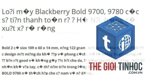 wordpress email tiếng việt lỗi
