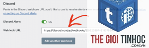 wordpress email webhook lỗi