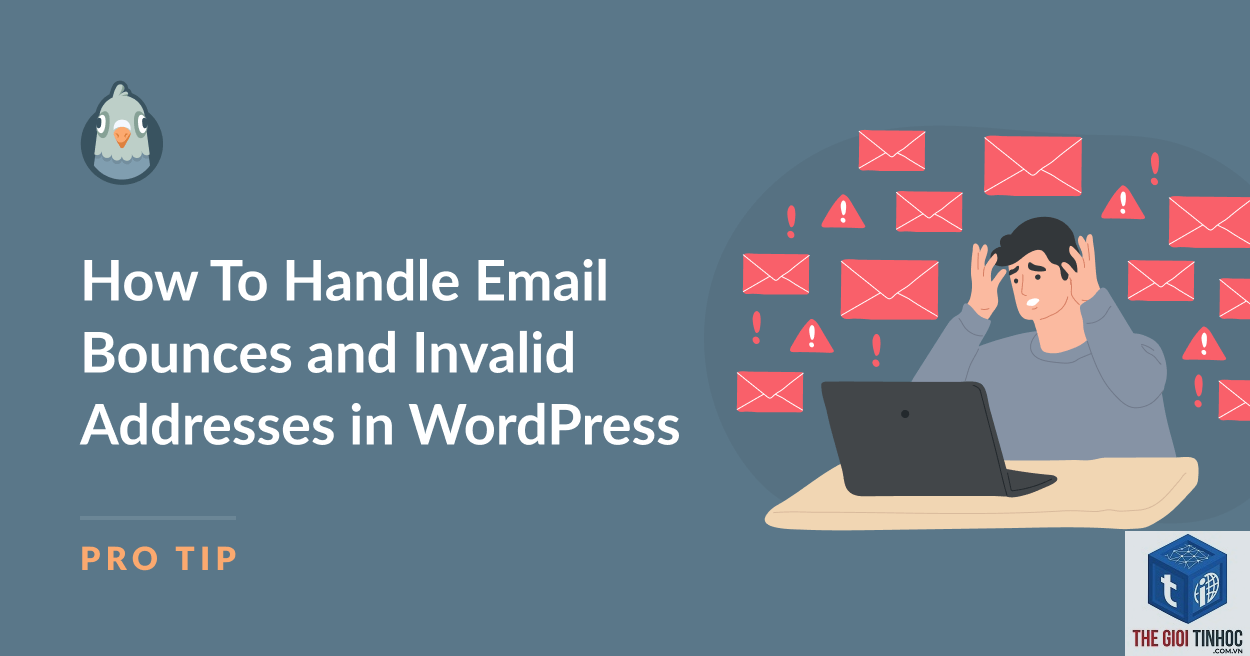wordpress form email bounce - Hình 3