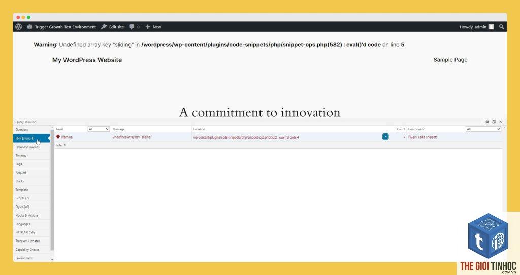 wordpress frontend error - Hình 4
