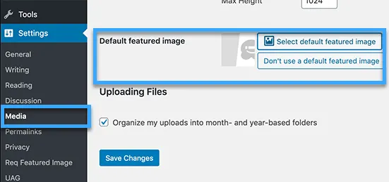 wordpress gallery javascript lỗi