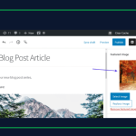 wordpress gallery không hiển thị