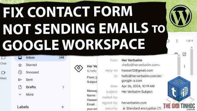 wordpress google workspace email lỗi - Hình 2