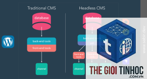 wordpress headless cms