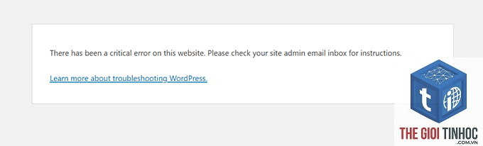 wordpress homepage error - Hình 2