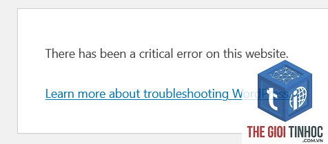 wordpress homepage error