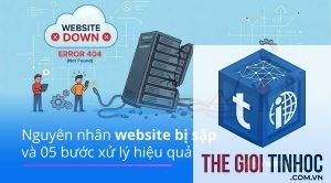 wordpress hosting bị sập