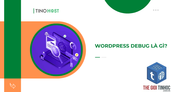 wordpress hosting debug - Hình 2