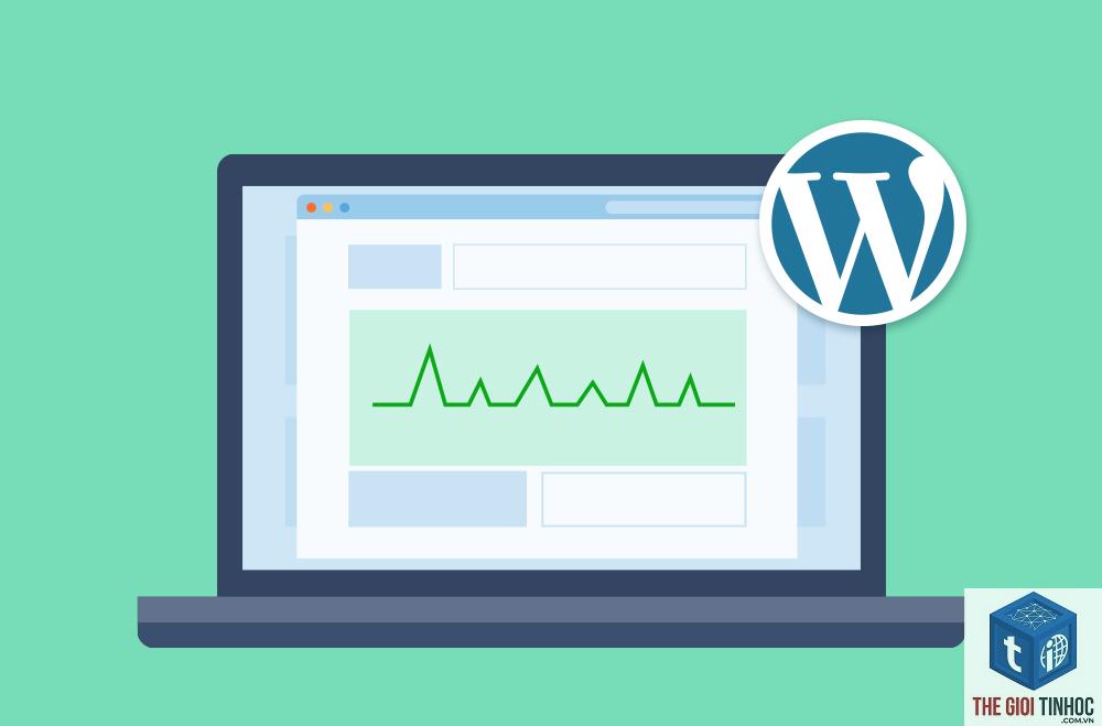 wordpress hosting diagnostics - Hình 1
