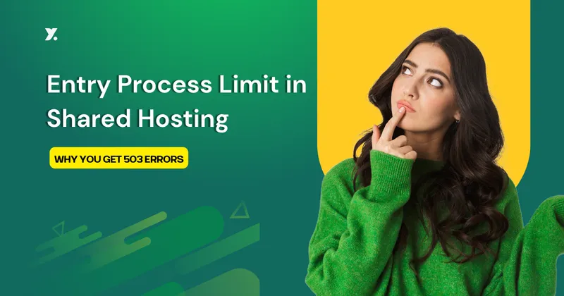 wordpress hosting entry process limit - Hình 2