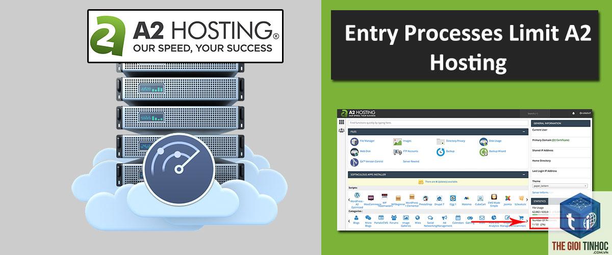 wordpress hosting entry process limit - Hình 3