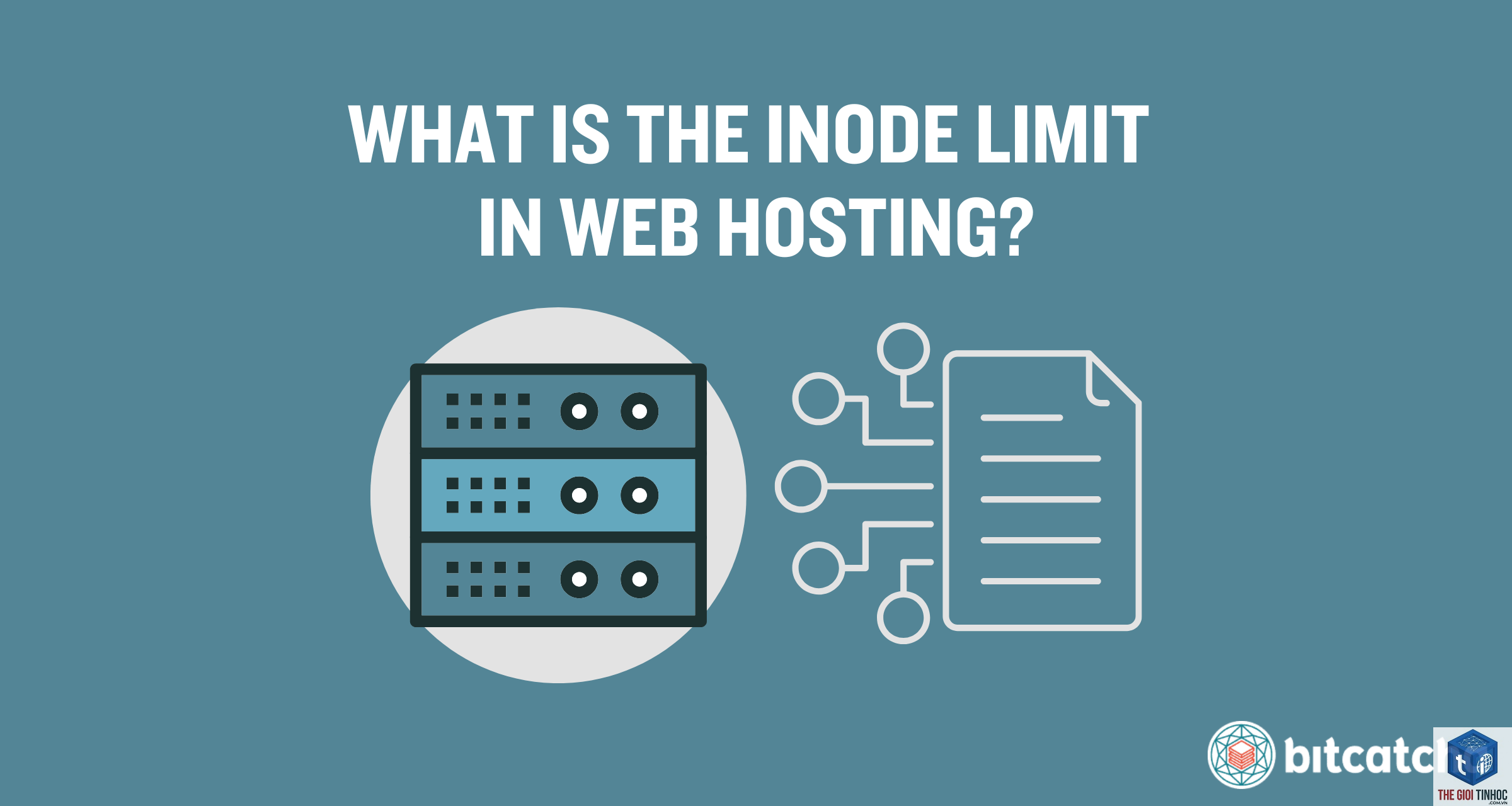 wordpress hosting inode limit - Hình 4