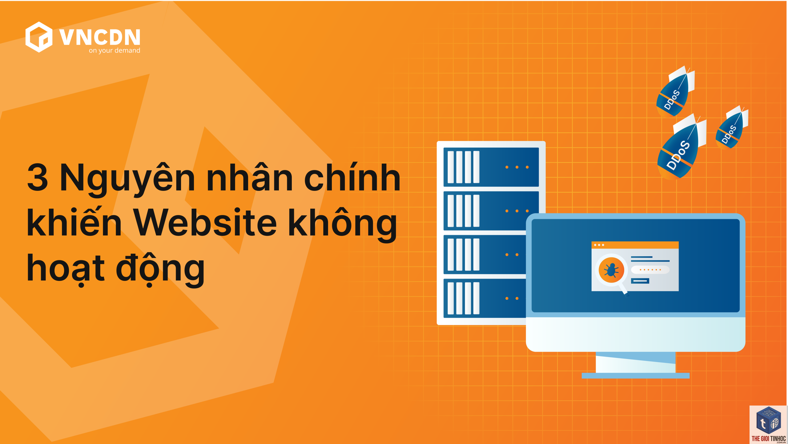 wordpress hosting không hoạt động - Hình 4