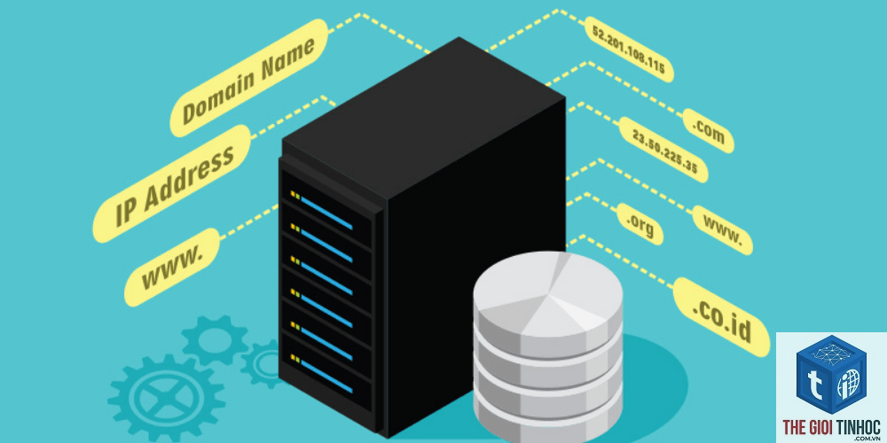 wordpress hosting sau đổi dns bị lỗi - Hình 5
