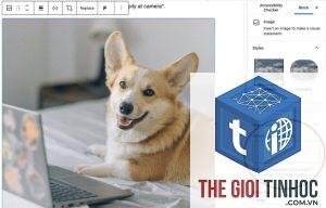wordpress image alt text lỗi