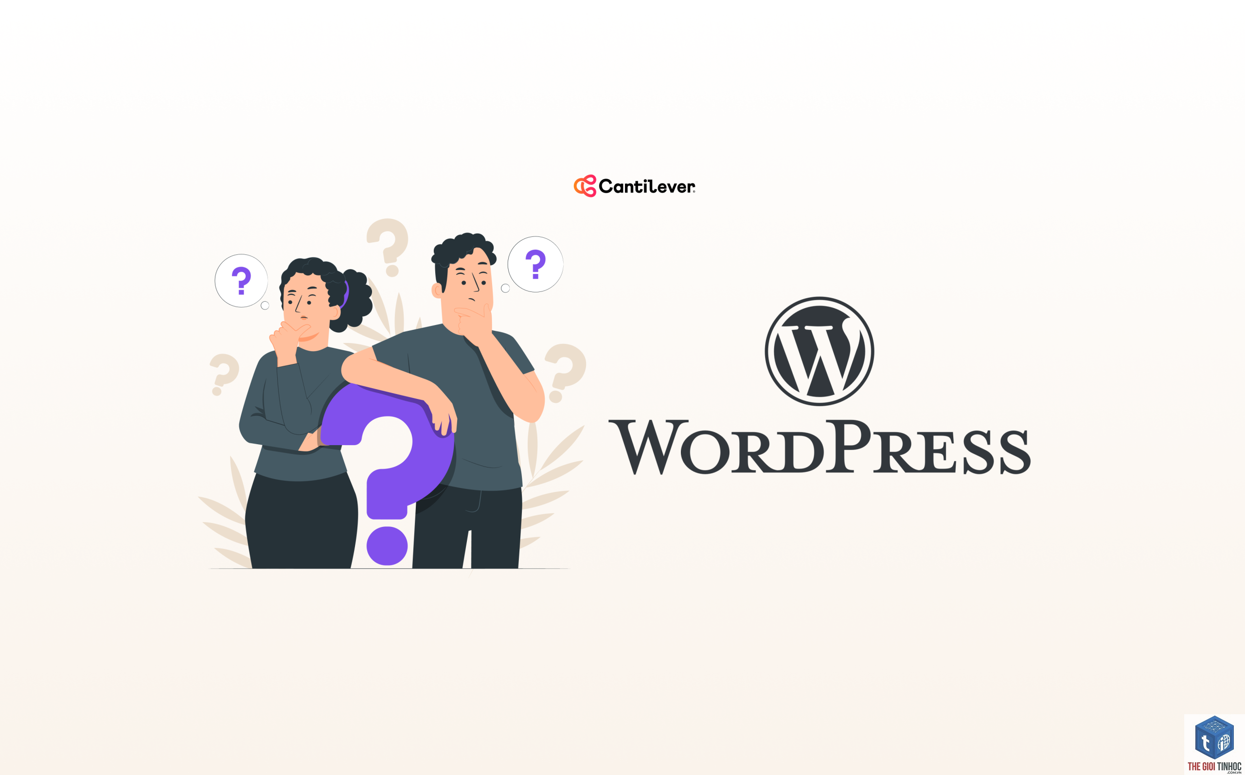 wordpress image cdn conflict - Hình 4