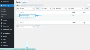 wordpress image schema lỗi