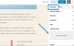 wordpress image search visibility lỗi