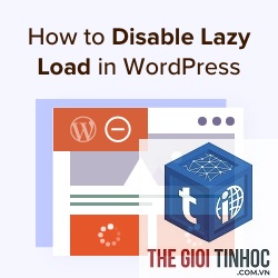 wordpress lazy load conflict - Hình 3