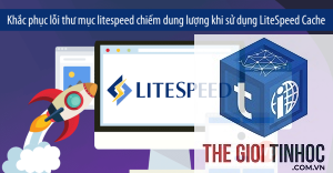 wordpress litespeed object cache lỗi