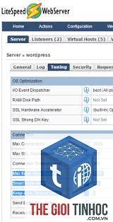 wordpress litespeed timeout - Hình 4