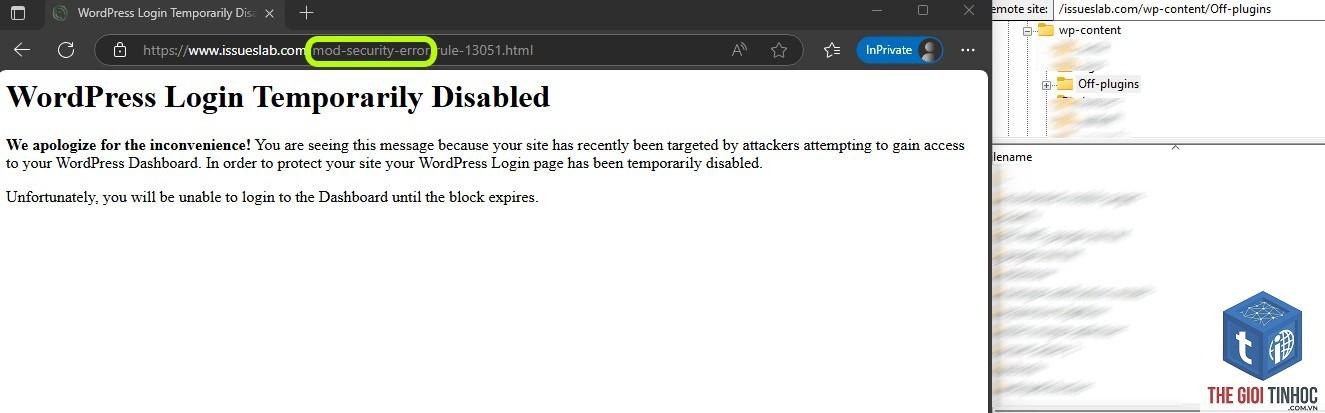 wordpress login security error - Hình 2