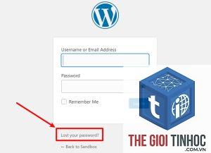 wordpress login security error