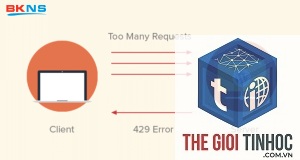 wordpress lỗi 429