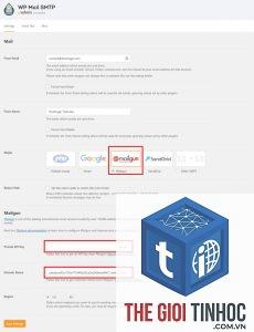 wordpress mailgun api lỗi