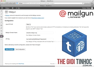 wordpress mailgun authentication error