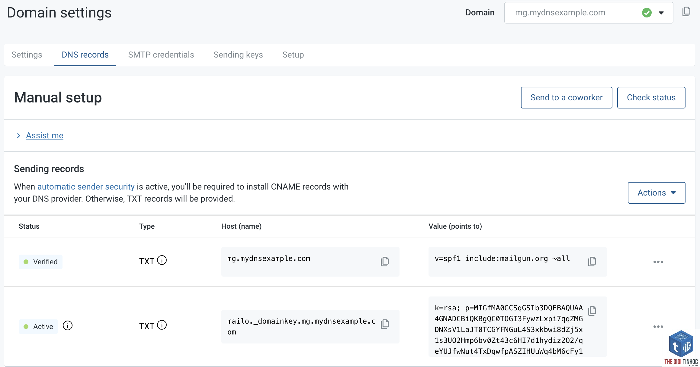 wordpress mailgun domain verification lỗi - Hình 2