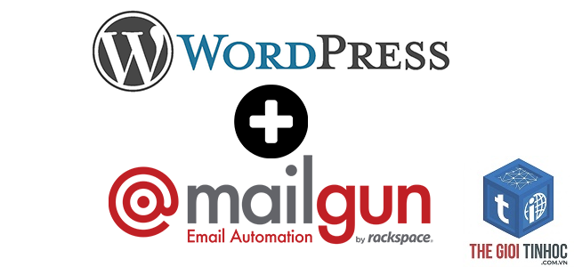 wordpress mailgun domain verification lỗi - Hình 3