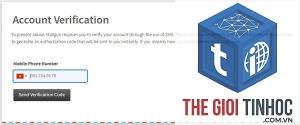wordpress mailgun domain verification lỗi