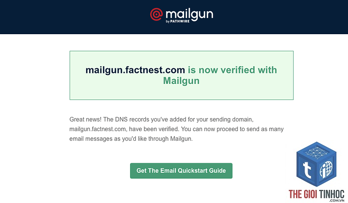 wordpress mailgun domain verification lỗi - Hình 4
