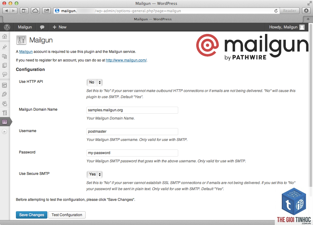 wordpress mailgun domain verification lỗi - Hình 5