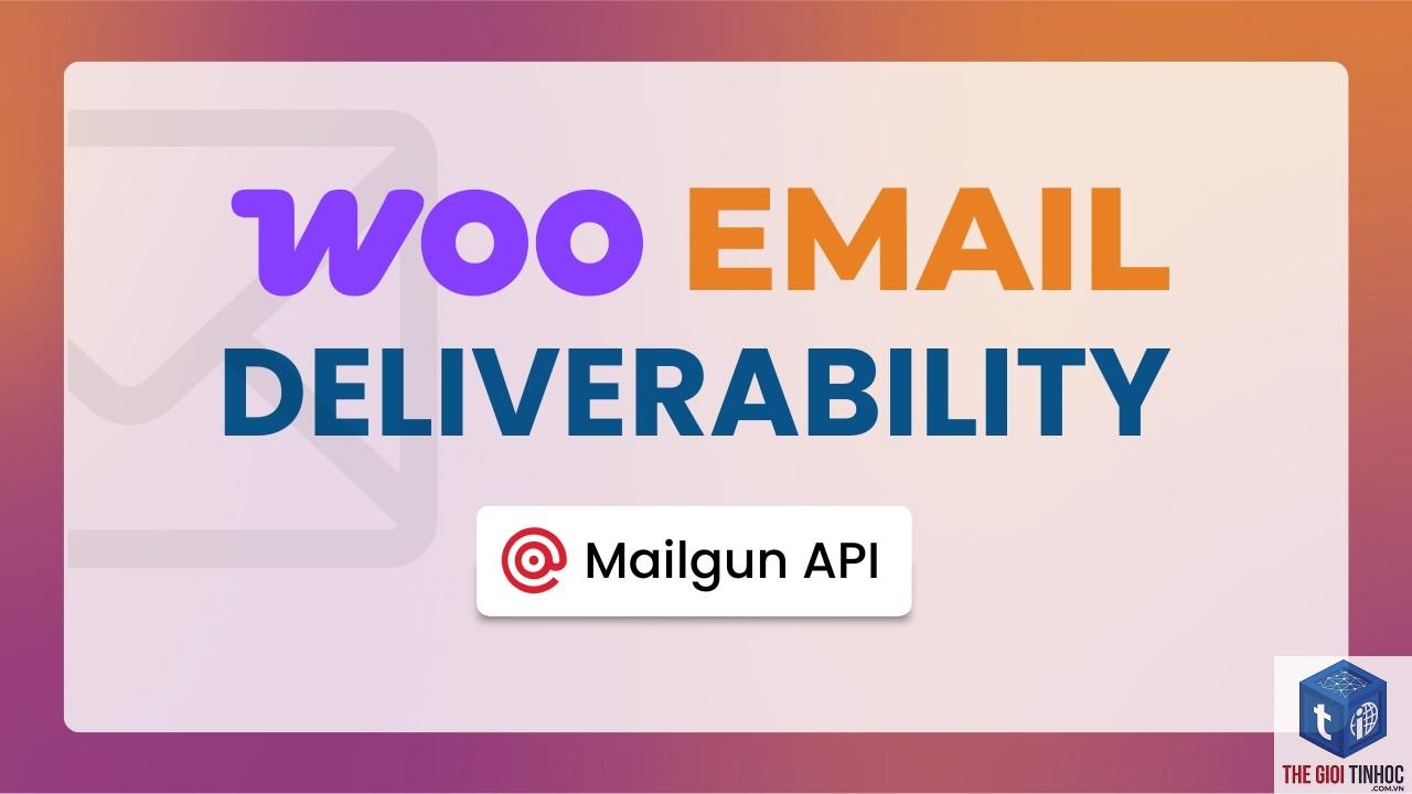 wordpress mailgun timeout - Hình 1