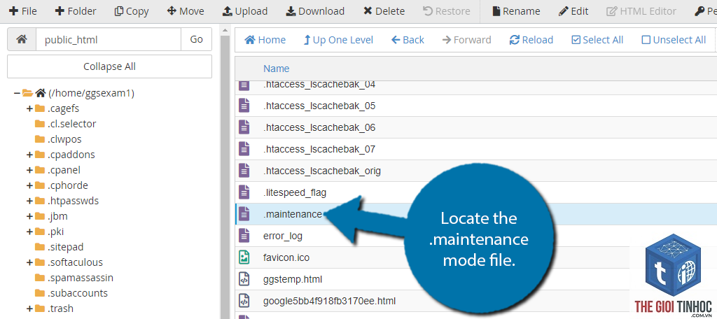 wordpress maintenance file error - Hình 5