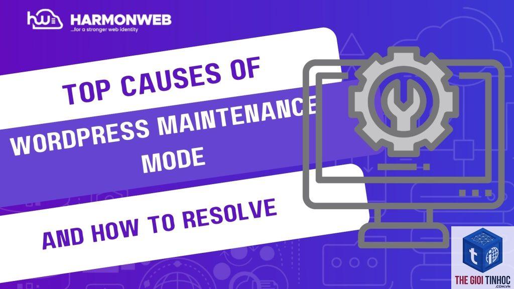 wordpress maintenance mode loop - Hình 1