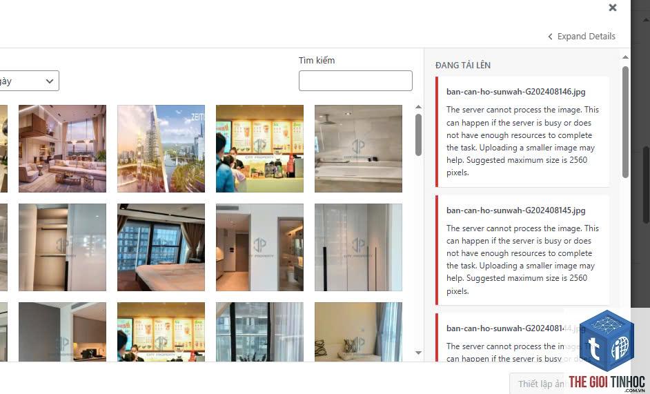 wordpress media background processing lỗi - Hình 2