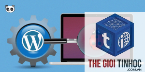 wordpress media debug