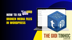 wordpress media domain mismatch