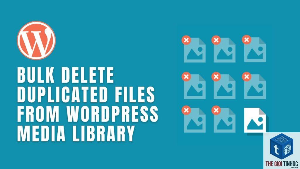 wordpress media duplicate files