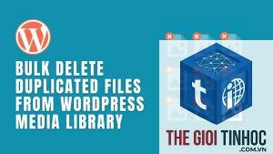 wordpress media duplicate files