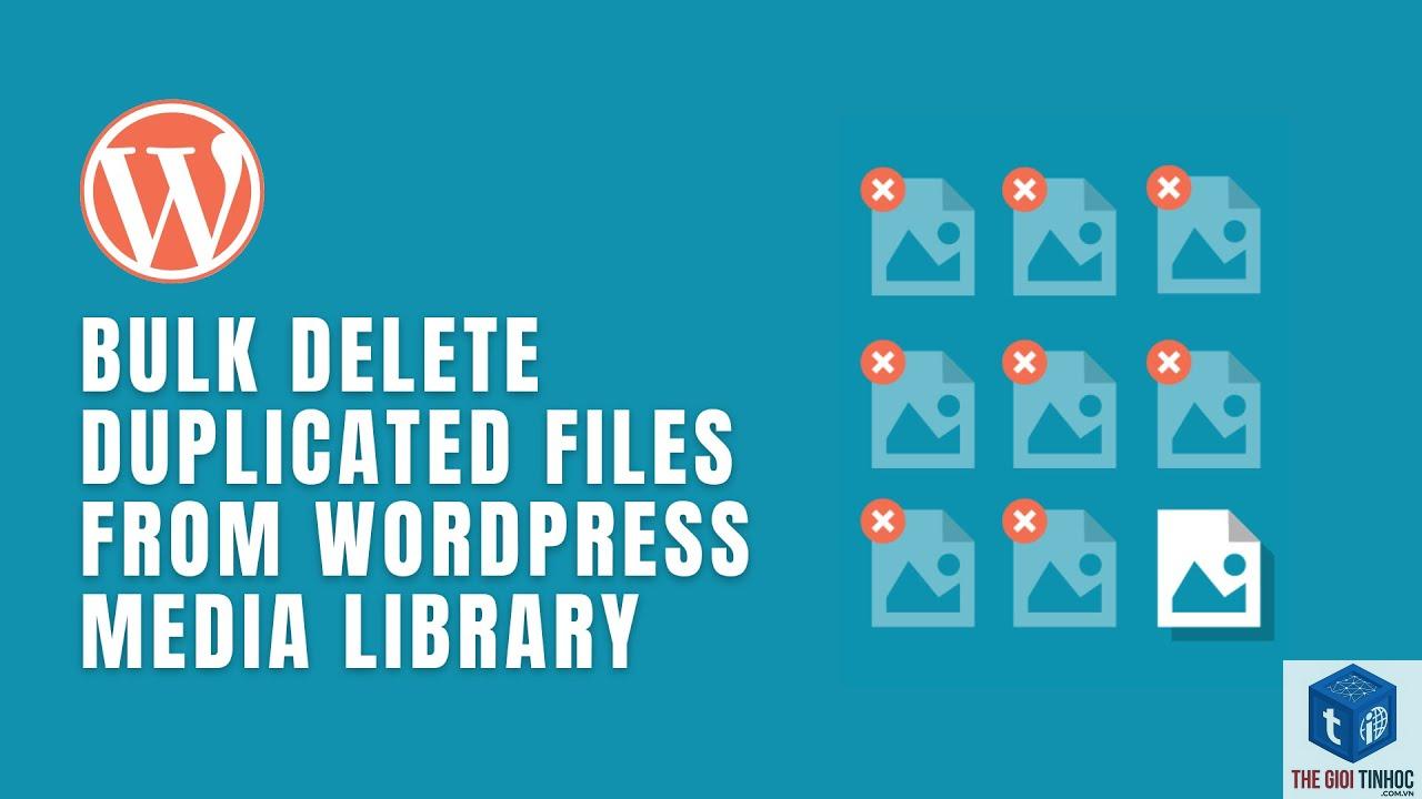 wordpress media duplicate files - Hình 1
