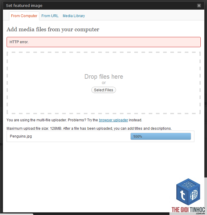 wordpress media filesystem error - Hình 5