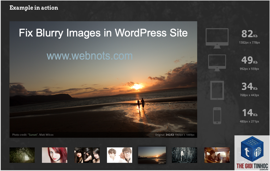 wordpress media library bị mất ảnh - Hình 5
