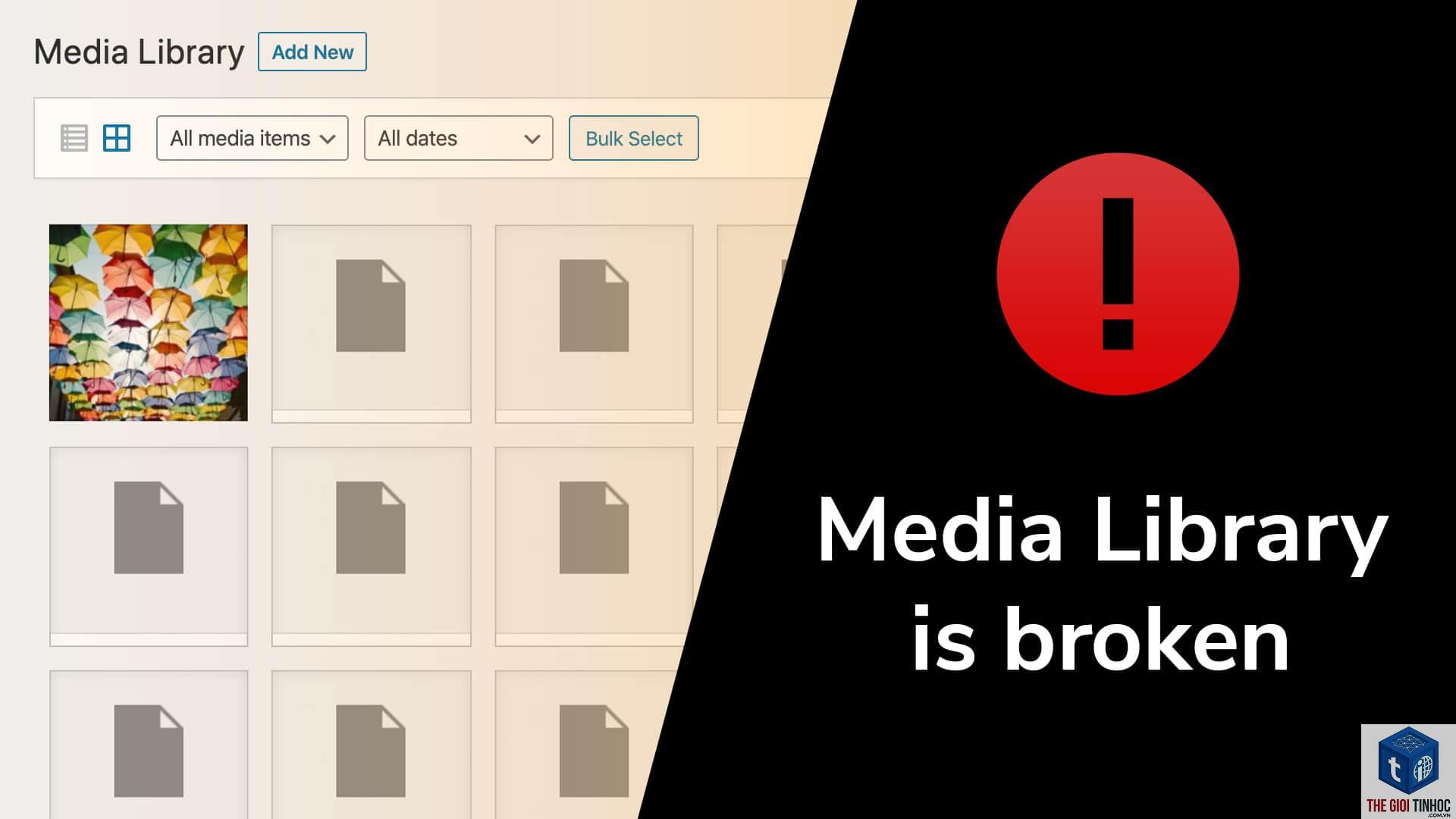 wordpress media library không hiển thị ảnh - Hình 1