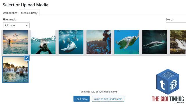 wordpress media library loading mãi - Hình 2